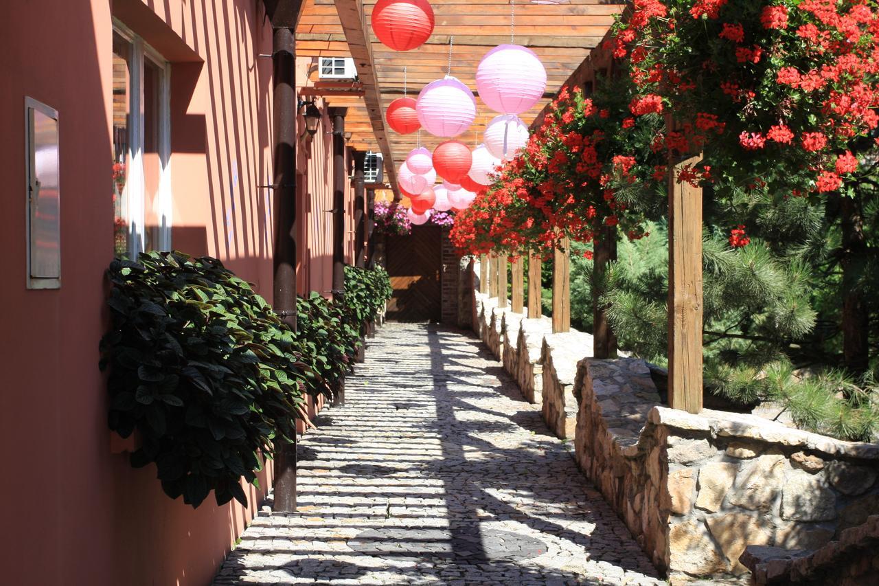 Hotel Restauracja Pustelnik Wisla Mala Esterno foto